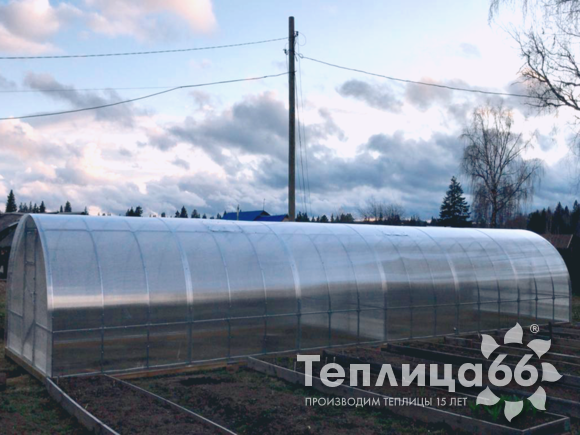 Теплица Рада 3М из поликарбоната, ширина 3 м